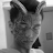 Maggothz MoronChay avatar image