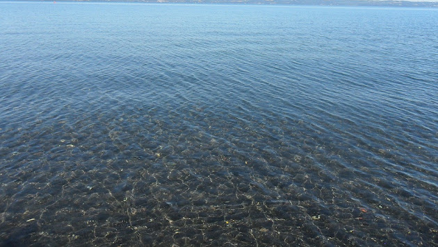 Cover photo