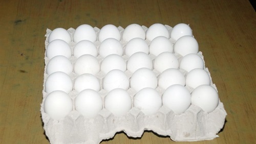 Suguna Chicken, Marol Pipe Line, Idira Nagar, Andheri - Kurla Rd, Greater Indra Nagar, Andheri East, Mumbai, Maharashtra 400059, India, Poultry_Farm, state MH