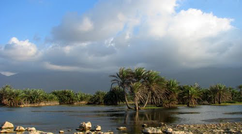 جزيرة سقطرى اليمنية 1