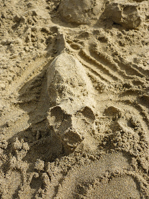 Schwein aus Sand gebaut