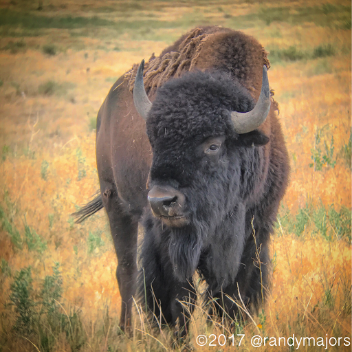 Wildlife Refuge «Rocky Mountain Arsenal National Wildlife Refuge», reviews and photos