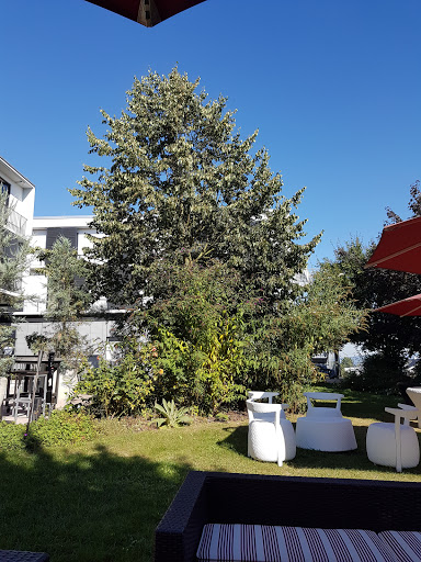 Atrium Hotel Mainz