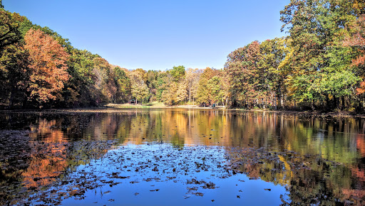 Ferncliff Forest