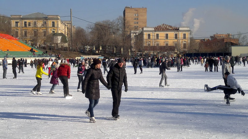 Стадион труд Коломна