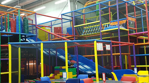 ALLIGATOR LAND