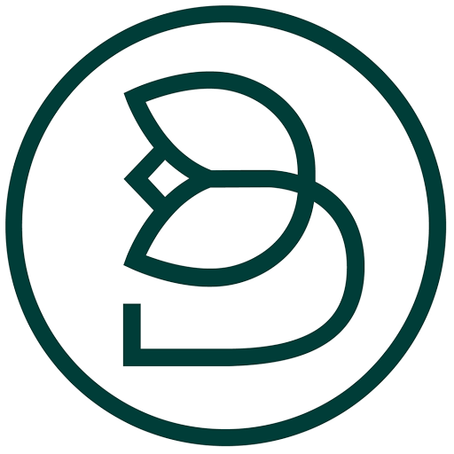 BLUMIXX GmbH logo