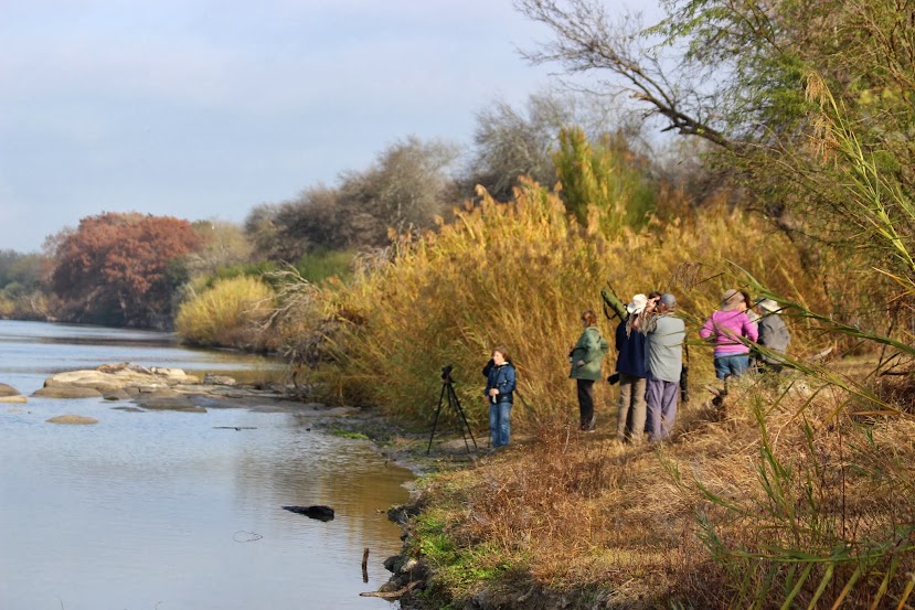 Our last quarterly trip to the upper Rio Grande birding upper rio grande