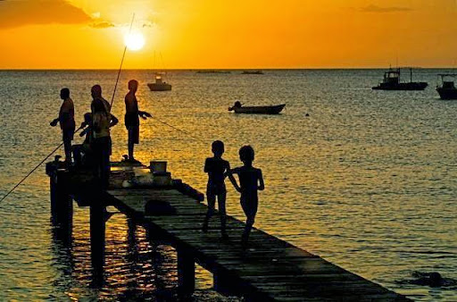 ANSE CARAIBE PLONGEE