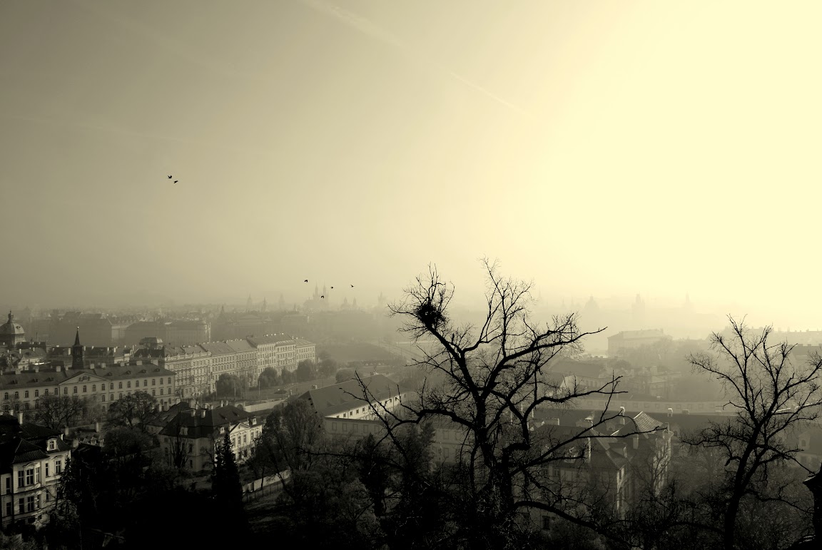 [Зображення: DSC_0245.JPG]