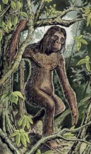 On The Trail Of The Orang Pendek Sumatra Mystery Ape