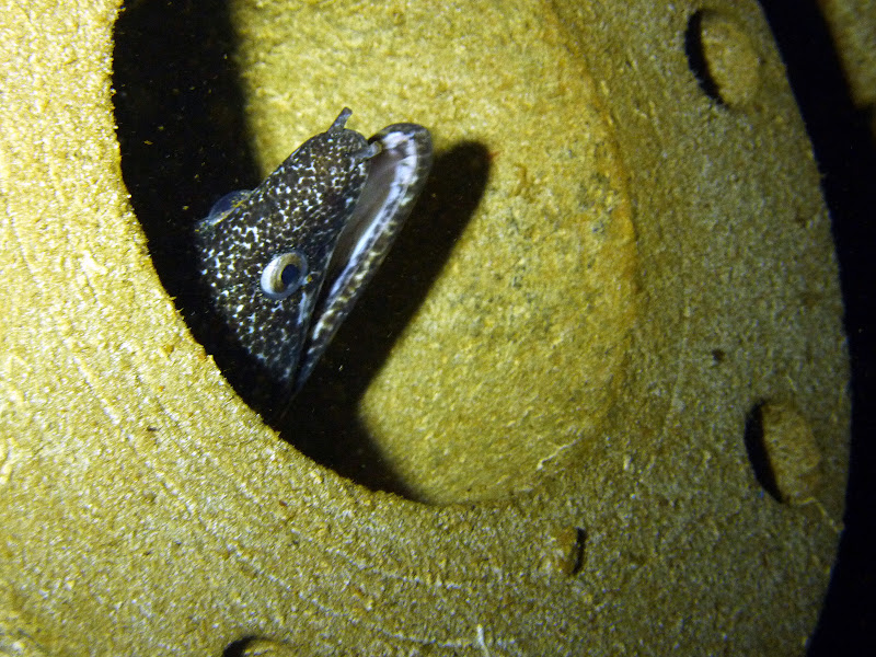 P1010645.JPG