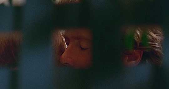 The Beguiled Hosted by Picasa