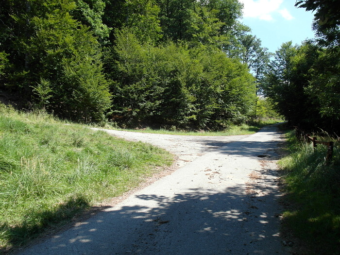 Slanske vrchy