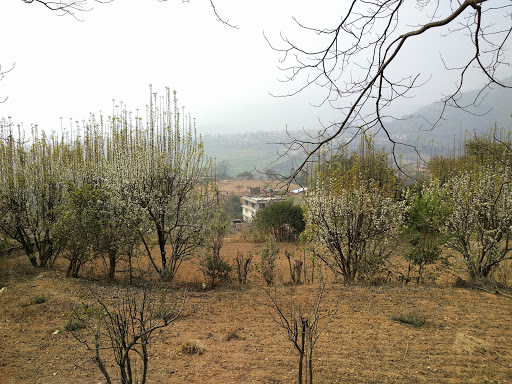 Photos of Satikhel Bus Stop