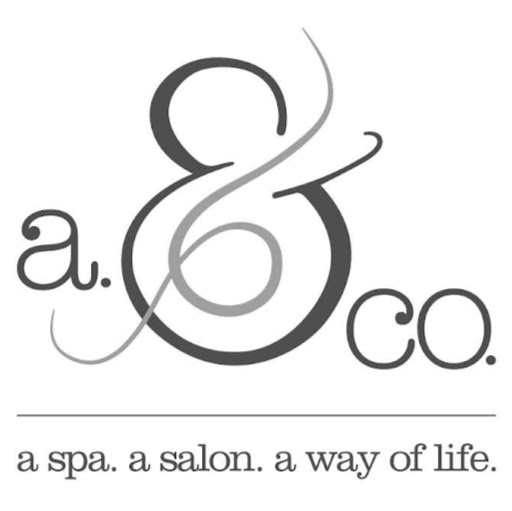 a.&co. salon & spa logo