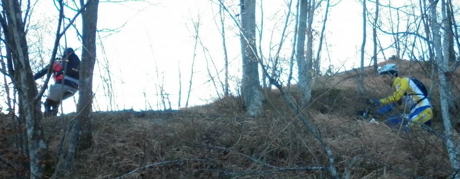 P1000900.JPG