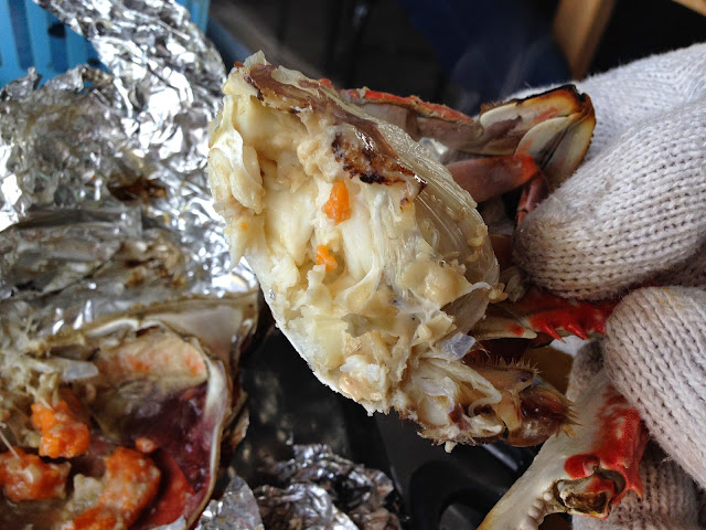 豊前ワタリガニ-1