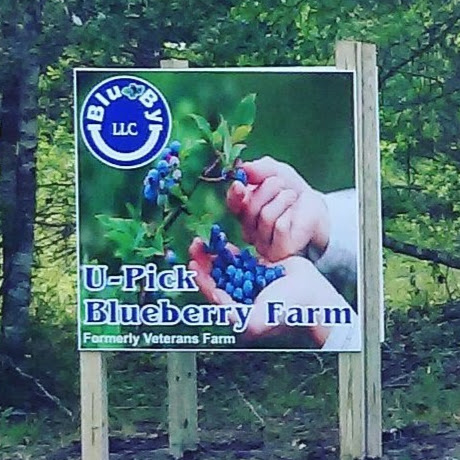 Blu By U Blueberry Farm