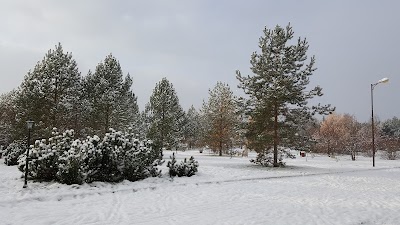 Photos of Demidkovo Spa