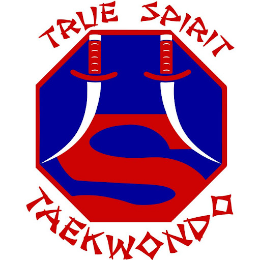 True Spirit Taekwondo And Wellness logo