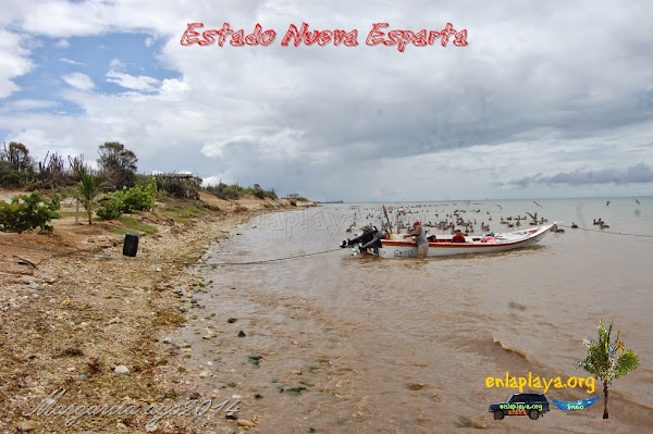 Playa Barrancas, Estado Nueva Esparta, Macanao