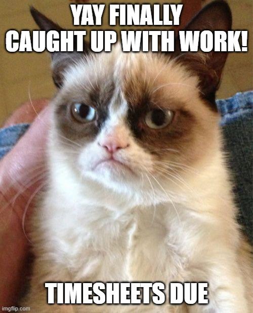 YAY FINALLY CAUGHT UP WITH WORK! TIMESHEETS DUE | YAY FINALLY CAUGHT UP WITH WORK! TIMESHEETS DUE | image tagged in memes,grumpy cat | made w/ Imgflip meme maker