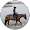 Dóri Cseh [Equestrian]