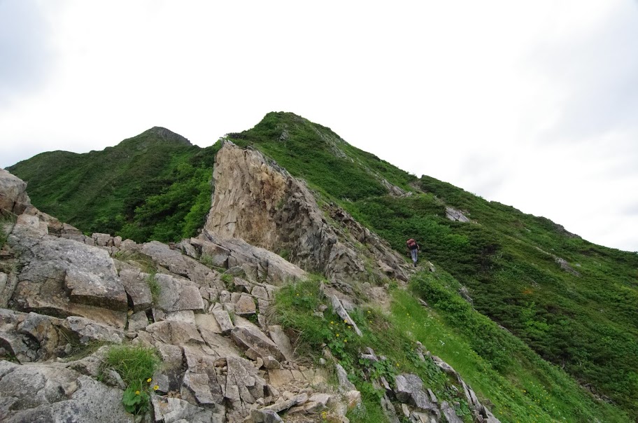 北峰を見上げる