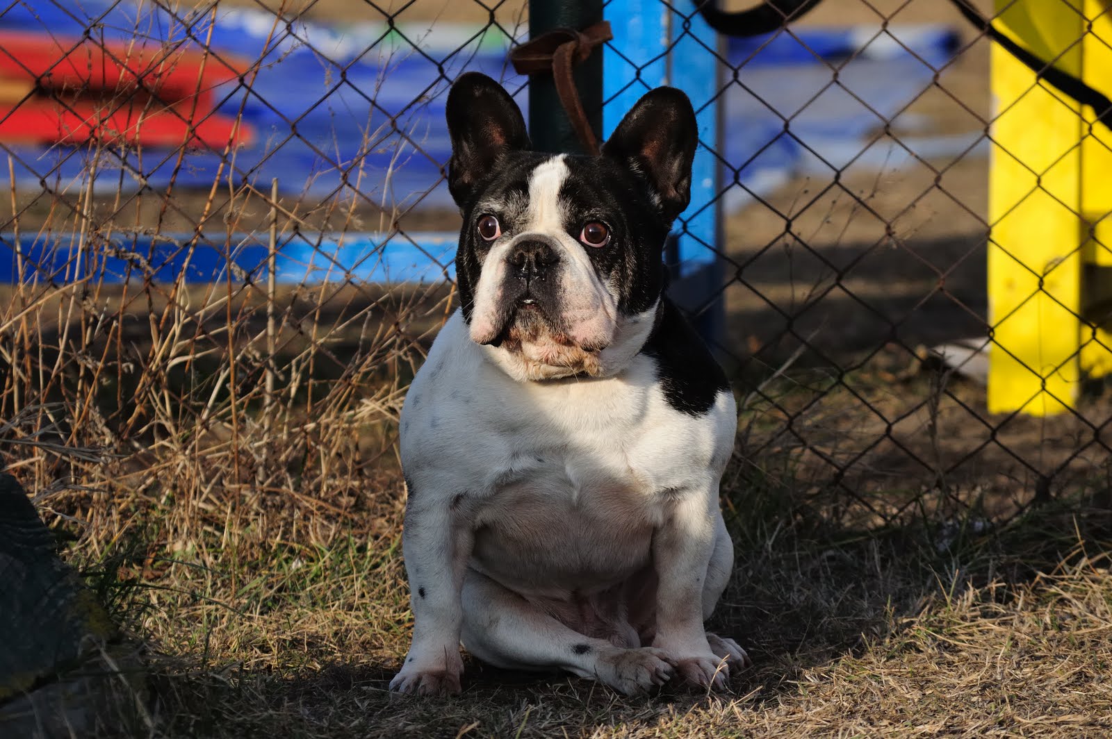 DSC_0640.jpg