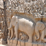Photo de la galerie "Mahabalipuram et son temple troglodyte"