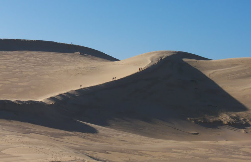 Dunes d'Afrique du Sud P1080321b
