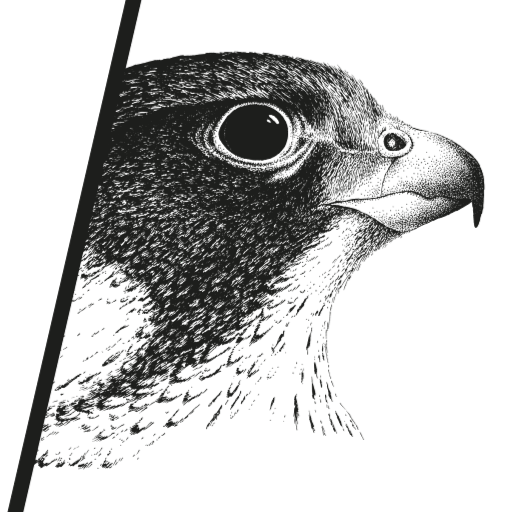 Falken Aarberg logo