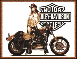 HOT SUMMER NIGHTS Battle of the Bands \ Car & Bike Show -  Tucson Az Harley-davidson-5
