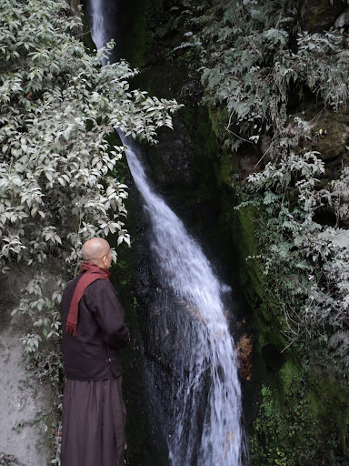 Ký sự chuyến hành hương Bhutan đầu xuân._Bodhgaya monk (Văn Thu gởi) DSC06848