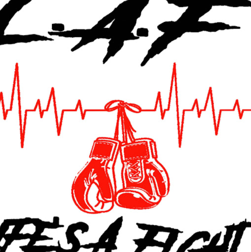Lifes a Fight logo