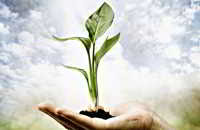 Earth Day, Ngày Trái Đất