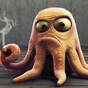 Pouya Parak Octopus
