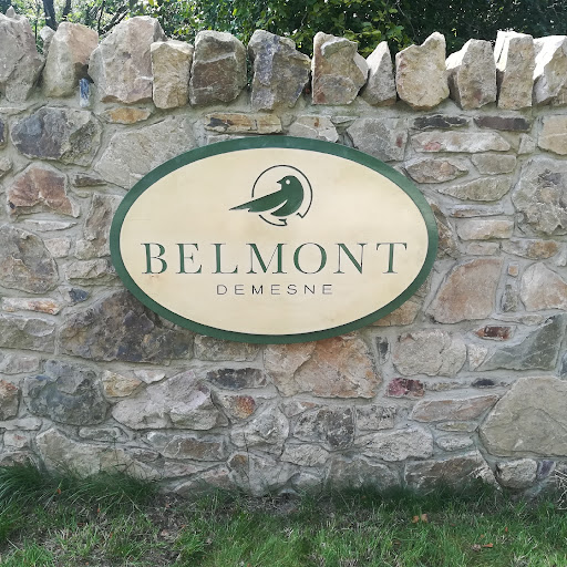 Belmont Demesne logo