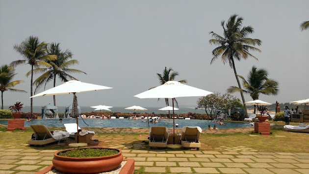 Cover photo