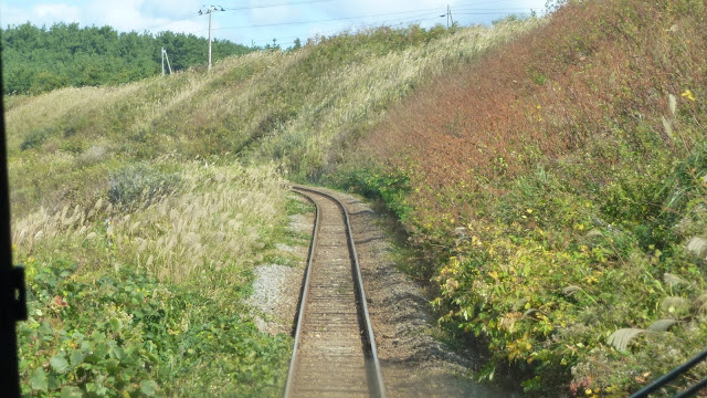 Train line running through coastal grassland