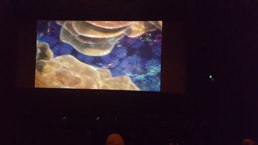 Cineworld Cinema - London Ilford