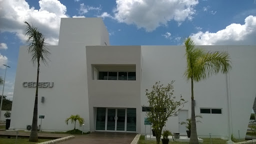 CEDESU, Av. Heroe de Nacozari 480, La Paz, Campeche, Camp., México, Instituto de investigación | CAMP