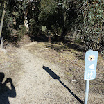 NPWS walking sign on Waterfall Walk (296945)