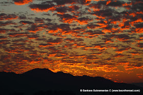 Vivid and Vibrant Evening Sky at Kaziranga - 10