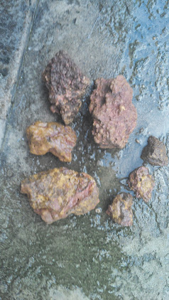 pedras para aquario IMG_20140501_160622_039