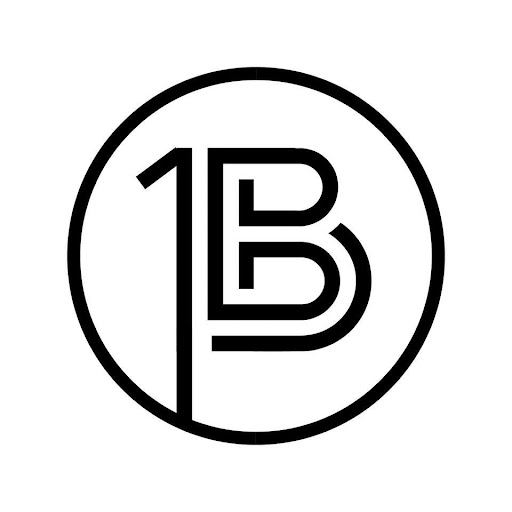 OB-1 Hair logo