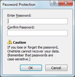 Password protect one note data