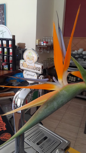 Agora Bar & Café