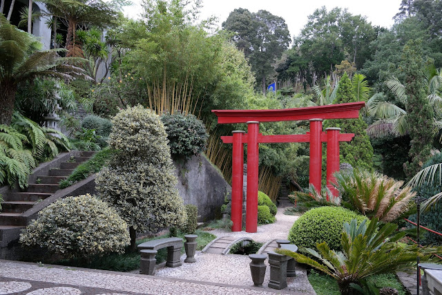 MADEIRA: JARDÍN BOTÁNICO CON VISTAS AL MAR - Blogs de Portugal - FUNCHAL  Y MONTE (19)